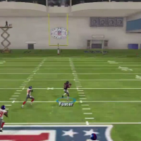 texans ebook