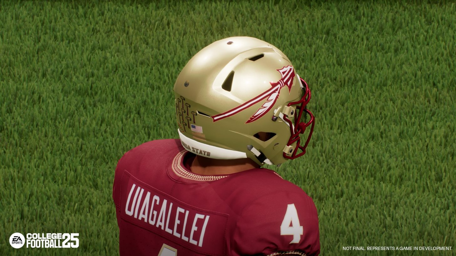 College Football 25 eBooks and Tips