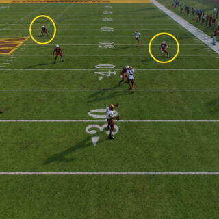 Madden 25 Trick Play